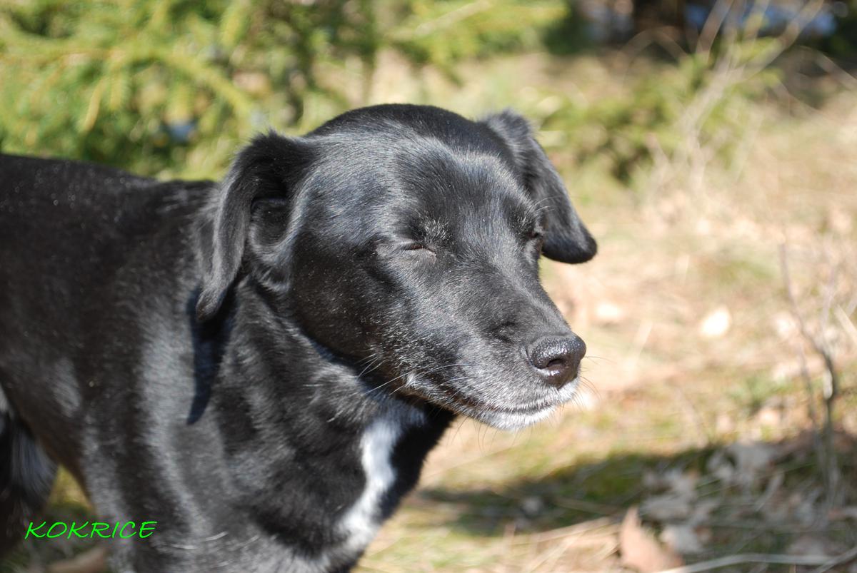 Pouste_26.2.2011_126.jpg