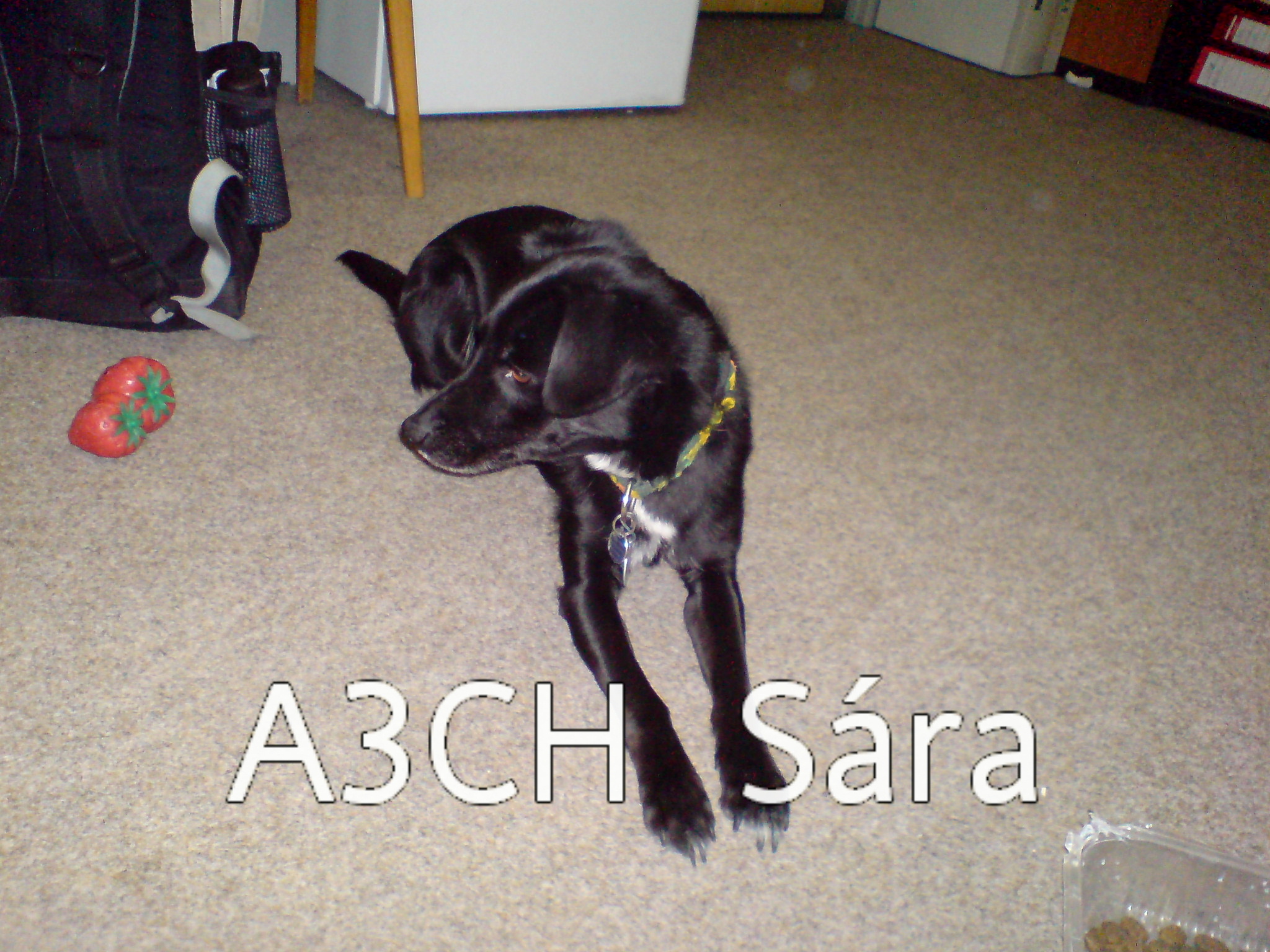 DSC00108.JPG